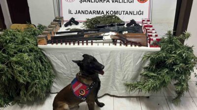 Şanlıurfa’nın Harran ilçesinde jandarma tarafından düzenlenen uyuşturucu operasyonunda 3 şüpheli