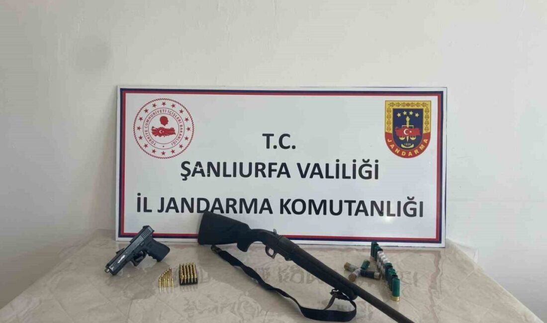 Şanlıurfa’da 4 ilçede eş zamanlı operasyon: Çok sayıda silah ele geçirildi Şanlıurfa’da 4 ilçede yapılan geniş çaplı operasyonda çok sayıda silah