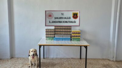 Şanlıurfa’da düzenlenen kaçakçılık operasyonunda, 7 bin 777 paket gümrük kaçağı