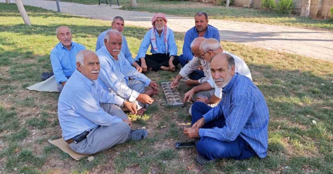 Şanlıurfa’da binlerce yıllık zeka oyunu Şanlıurfa’nın Suruç ilçesinde parklarda bir araya gelen yaşlılar, binlerce yıllık