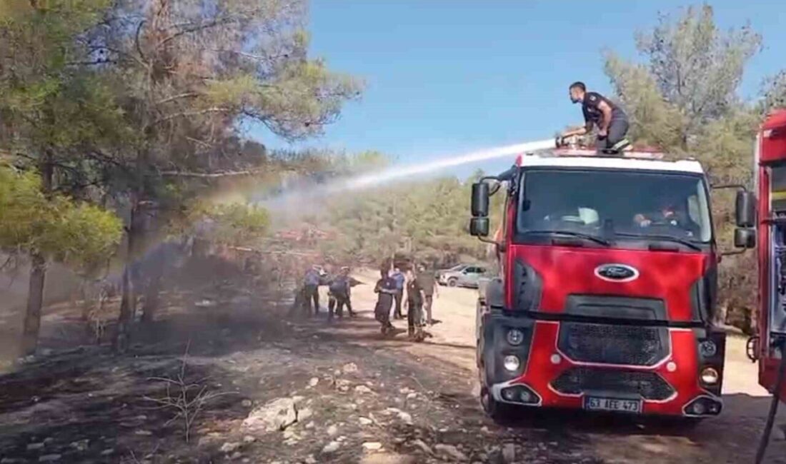 Şanlıurfa’da orman yangını Şanlıurfa’nın Karaköprü ilçesinde ormanlık alanda çıkan yangın, itfaiye ekiplerince söndürüldü.