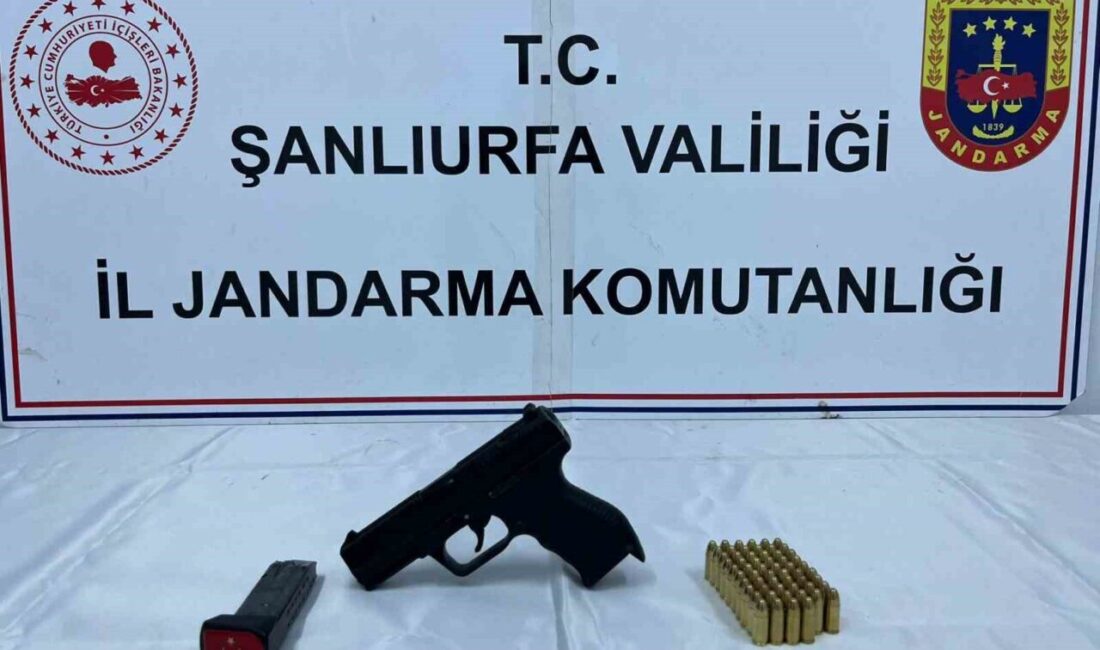Şanlıurfa’da düzenlenen operasyonda çok sayıda silah, mühimmat ve uyuşturucu madde