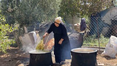 Şanlıurfa’da yapılan hasatla birlikte üzümün pekmez yolculuğu da başladı. Şanlıurfa