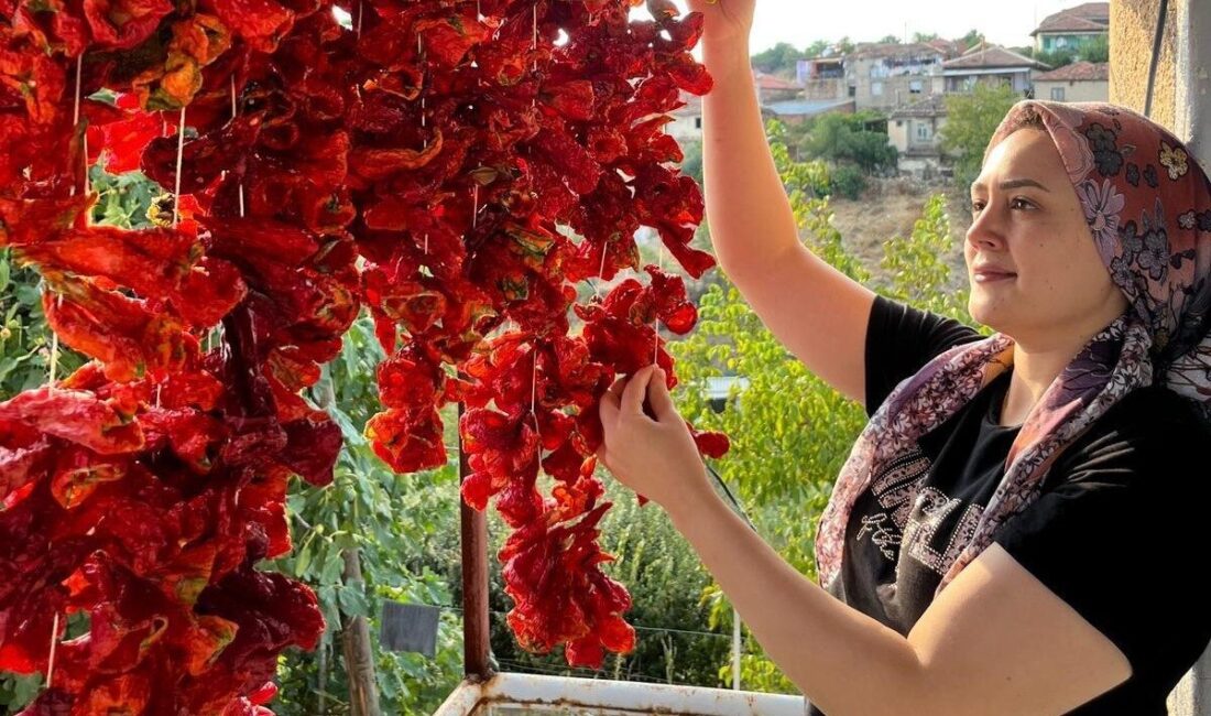 Sarıgöllü kadınlardan kışlık mesaisi Manisa’nın Sarıgöl ilçesinde ev kadınları kışlık yiyeceklerini hazırlamaya başladı. Yaz