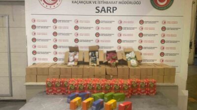 Ticaret Bakanlığı Gümrükler Muhafaza ekiplerince, Sarp Gümrük Kapısı ve İstanbul’da