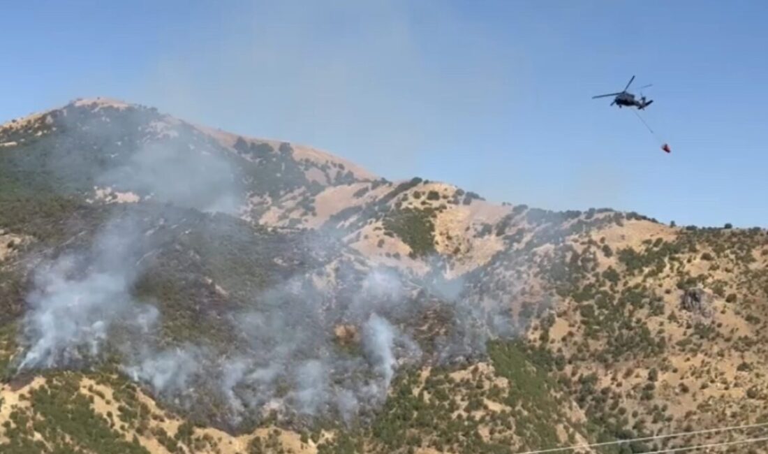 Şemdinli’deki orman yangınına hava destekli müdahale Hakkari’nin Şemdinli ilçesinde başlayan ve kontrol altına alma çalışmaları süren