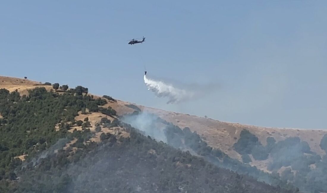 Şemdinli’deki yangına havadan müdahale devam ediyor Hakkari’nin Şemdinli ilçesinde başlayan ve rüzgarın etkisiyle hızla yayılan orman