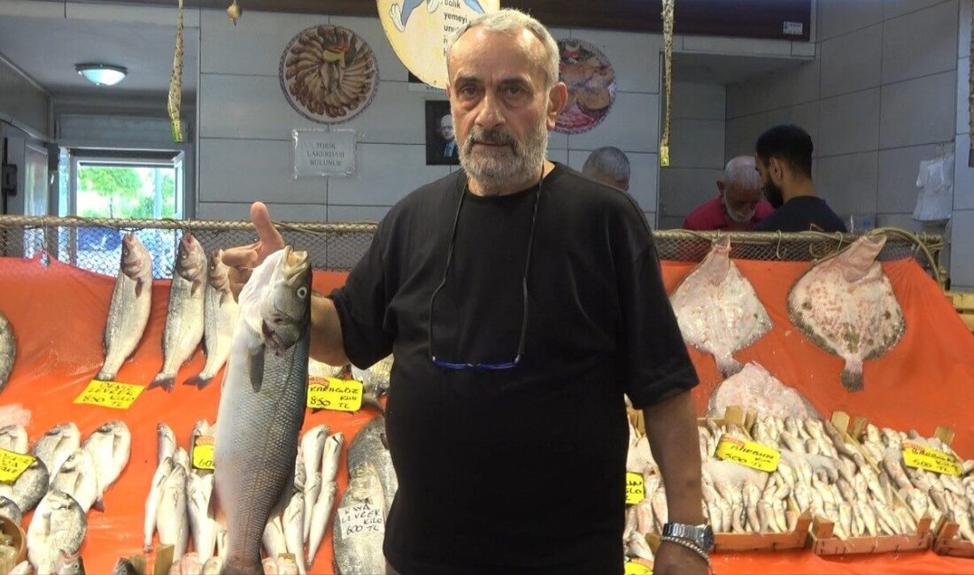 Sezon açıldı, tezgahlarda hamsi ve istavrit bolluğu Balık sezonunun açılmasıyla tezgahlar şenlenirken, hamsi ve istavrit bolluğu dikkat