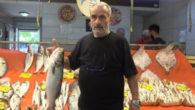 Balık sezonunun açılmasıyla tezgahlar şenlenirken, hamsi ve istavrit bolluğu dikkat