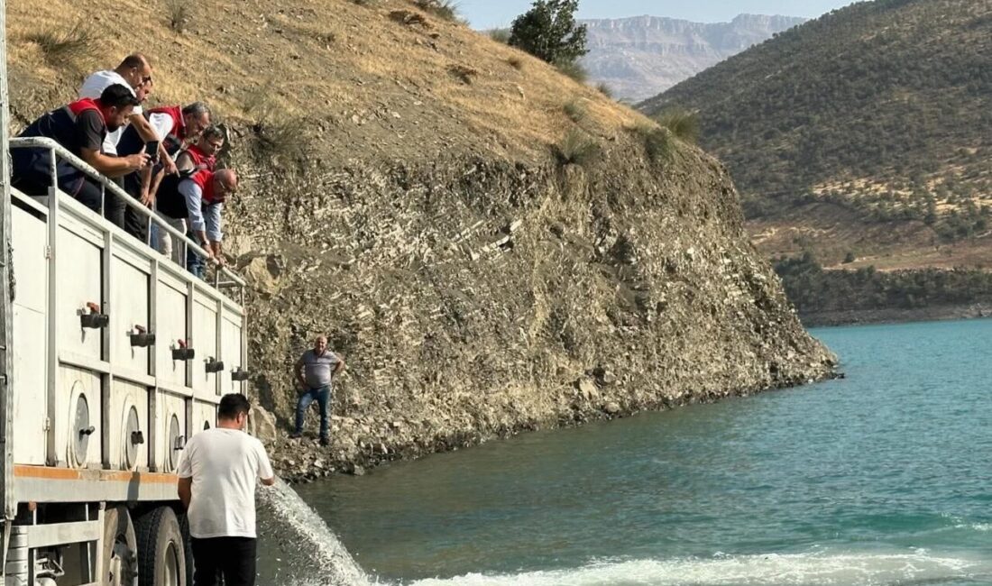 Siirt’te baraj gölü balıklandırıldı Tarım ve Orman Bakanlığı tarafından yürütülen “Su Kaynaklarının Balıklandırılması Projesi”