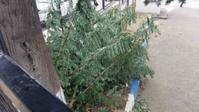 Sinop’ta etkili olan fırtına hayatı olumsuz etkiledi. Sinop kent merkezinde