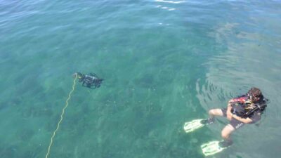 Sinop Bilim ve Sanat Merkezi öğrencilerinin geliştirdiği yapay zekâ destekli