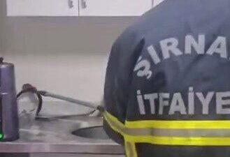 Şırnak’ta bir iş yerine giren yılan paniğe neden oldu. Şırnak