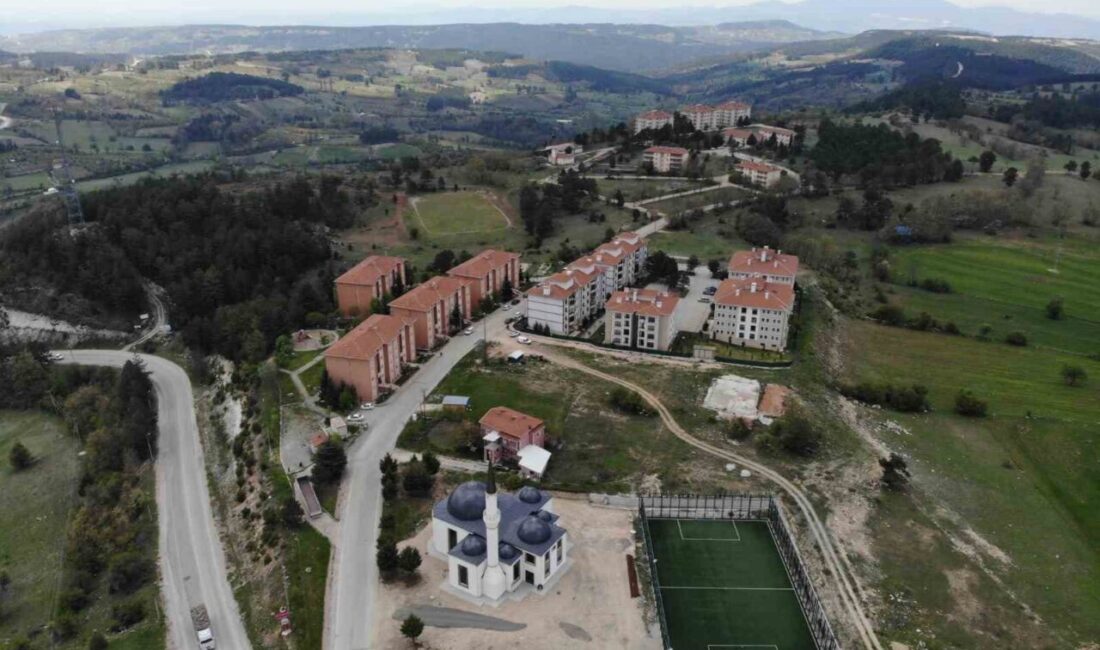 Bursa’da bir site bahçesinde yavru ayılar görülmesi üzerine yönetim, site