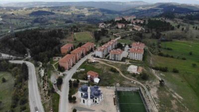 Bursa’da bir site bahçesinde yavru ayılar görülmesi üzerine yönetim, site