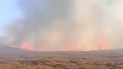 Şanlıurfa’nın Siverek ilçesine bağlı Karacadağ bölgesinde dün gece çıkan orman