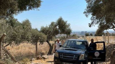 Türkiye’nin önemli zeytin üretim merkezlerinden olan Aydın’ın Söke ilçesinde sahaya