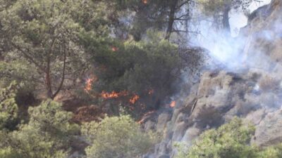 Aydın’ın Söke ilçesinde çıkan orman yangını kontrol altına alınırken, bölgede