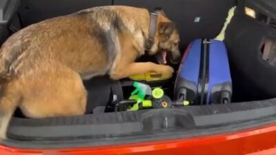 Samsun’da narkotik polisinin takibi sonucu durdurularak arama yapılan bir araçta,