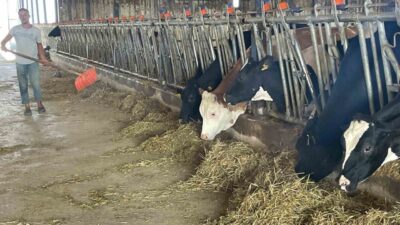 Bursalı süt üreticileri, rekabet kurulunun süt sektöründeki 39 teşebbüs hakkında