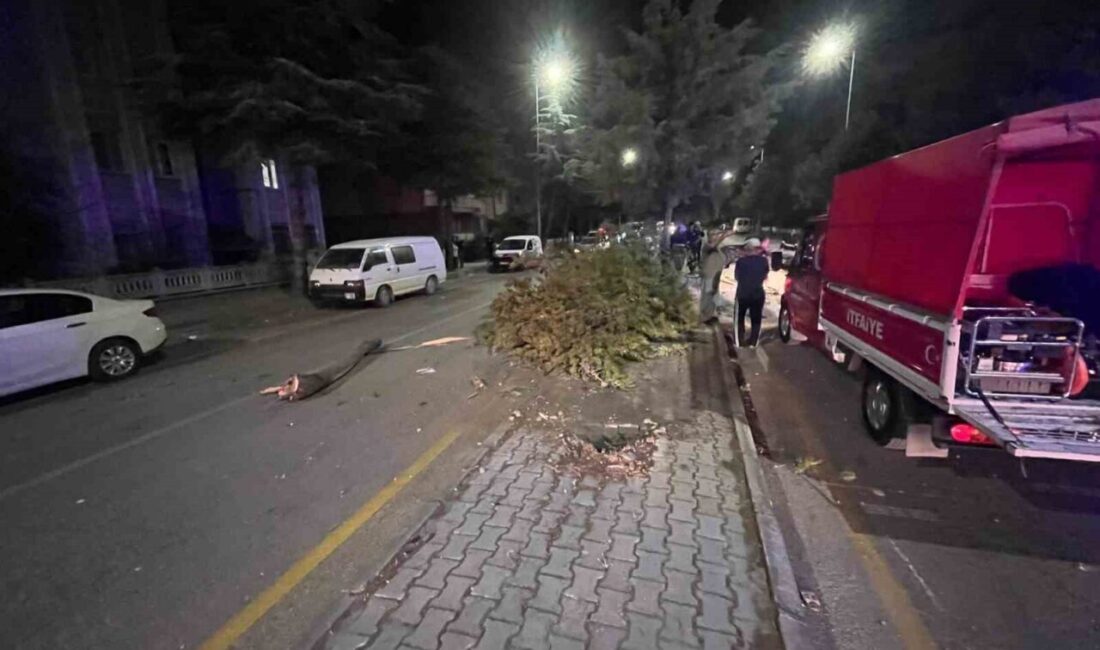 Isparta’da ağaca çarpıp takla atan Tofaş marka otomobilden itfaiye ekiplerince