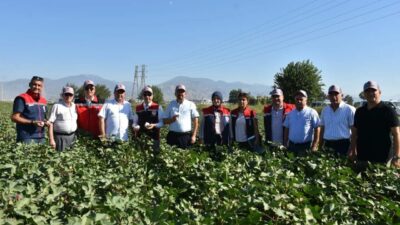 Beraberindeki heyet ile pamuk tarlalarında incelemelerde bulunan Aydın Tarım ve