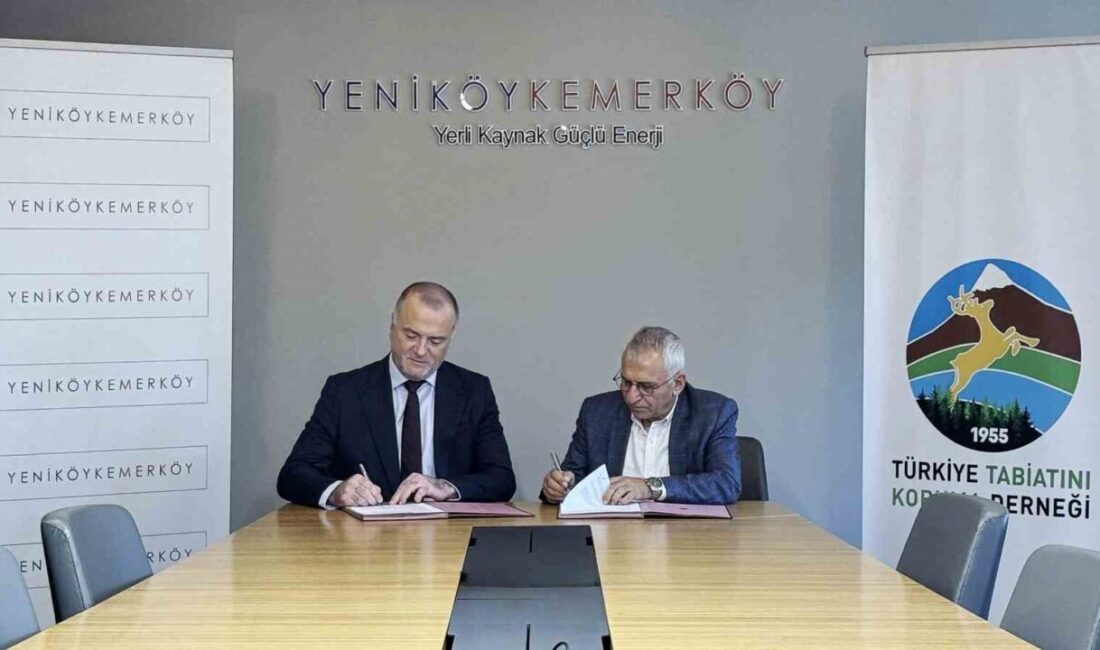 Milas’ta zeytin ağaçlarının taşınması sürecinin şeffaf ve denetlenebilir şekilde yürütülmesi