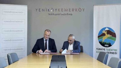 Milas’ta zeytin ağaçlarının taşınması sürecinin şeffaf ve denetlenebilir şekilde yürütülmesi