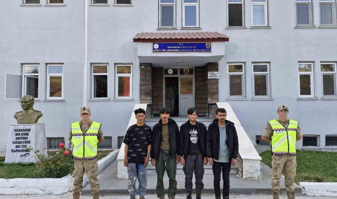 Bitlis’in Tatvan ilçesinde 4 düzensiz göçmenle birlikte bir organizatör yakalandı.
