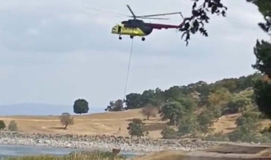 Tavşanlı’da yıldırım düşmesi sonucu çıkan orman yangını havadan müdahaleyle kısa sürede söndürüldü Kütahya’nın Tavşanlı ilçesinde yıldırım düşmesi sonucu çıkan yangın kısa sürede