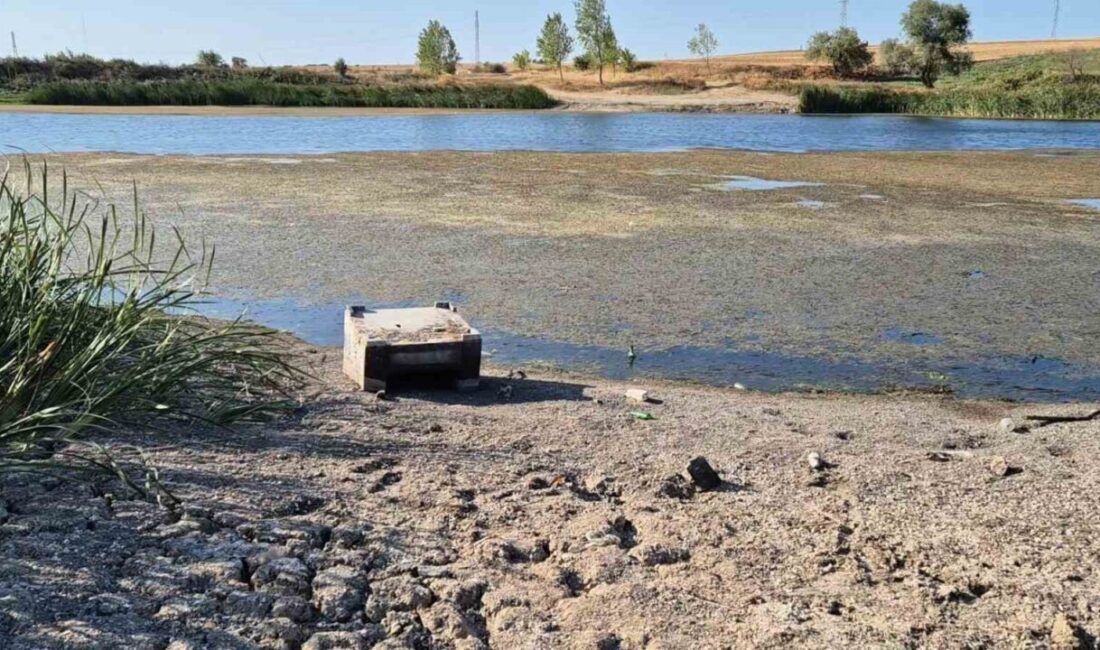 Tekirdağ’da yaşanan kuraklık nedeniyle baraj ve göletlerde su seviyeleri hızla