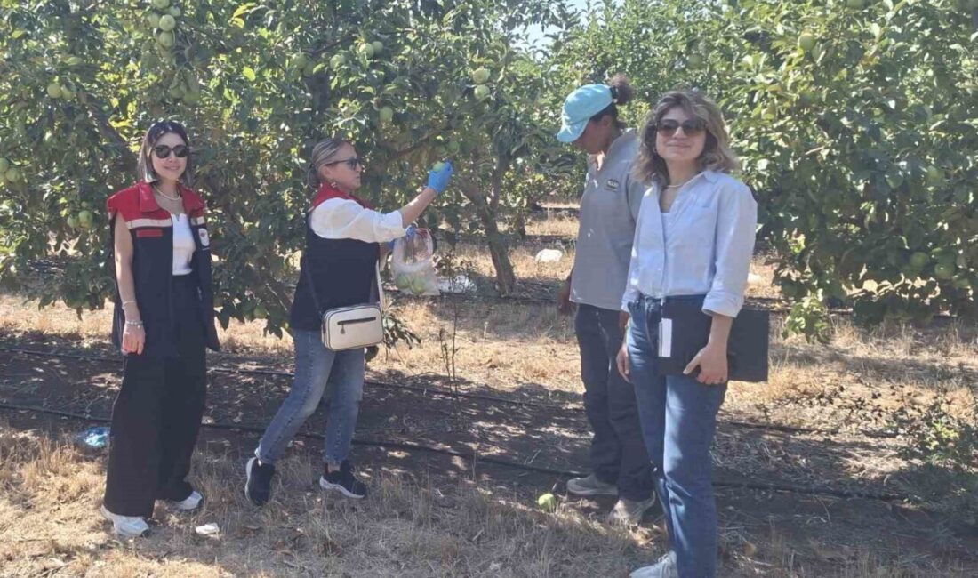 Tekirdağ’da hasat öncesi pestisit denetimleri yapılıyor Tekirdağ’da hasat öncesi pestisit denetimleri yapılıyor. Tarım ve Orman Bakanlığı