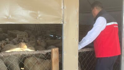 Tekirdağ Tarım ve Orman İl Müdürü Mehmet Aksoy, Kapaklı ilçesinde