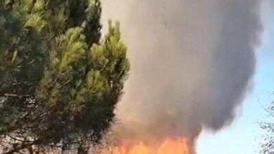 Tekirdağ’da Çorlu 1 Organize Sanayi Bölgesi’nde BİM depolarının yanı başında