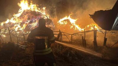 Erzurum’un Tekman ilçesinde çıkan ot yangınında 2 bin 500 balya