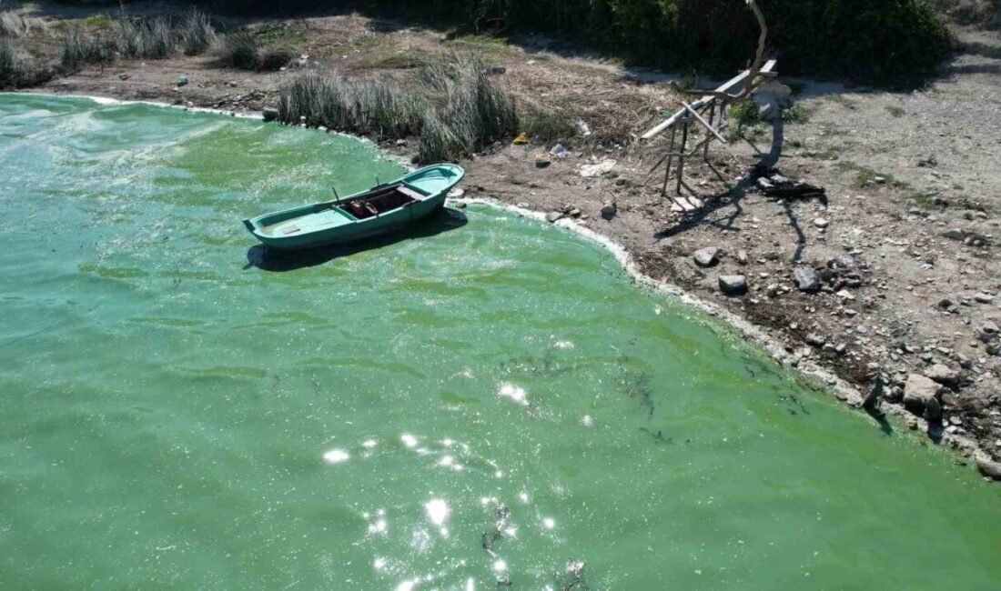 İstanbul’un en büyük içme suyu kaynaklarından biri olan Terkos Gölü’nün