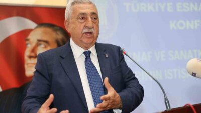 Türkiye Esnaf ve Sanatkârları Konfederasyonu (TESK) Başkanı Bendevi Palandöken, “30