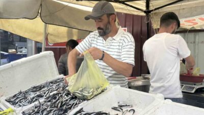 Zonguldak’ta hamsi tezgahlarda 100 liradan alıcı buldu. Zonguldak’ta tezgahlarda hamsi