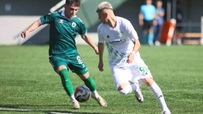 TFF 3. Lig 3. Grup 2. haftasında Çayelispor, sahasında karşılaştığı