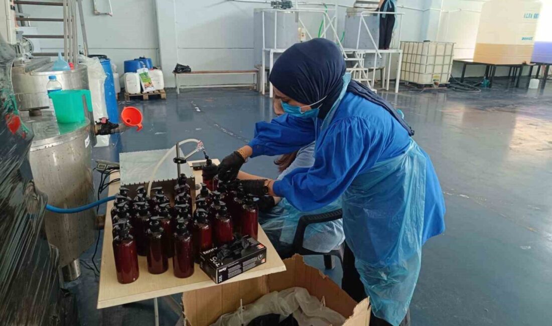 Tillo’da kadınlar bir ilke imza attı: Temizlik malzemelerini kendileri üretiyor Siirt’in Tillo ilçesinde kadınlar, kendi imkanlarıyla ’Tillo Üreten Eller Kadın