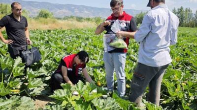 Tokat’ta Tarım ve Orman Bakanlığı’nın yürüttüğü ’Hasat Öncesi Pestisit Denetim
