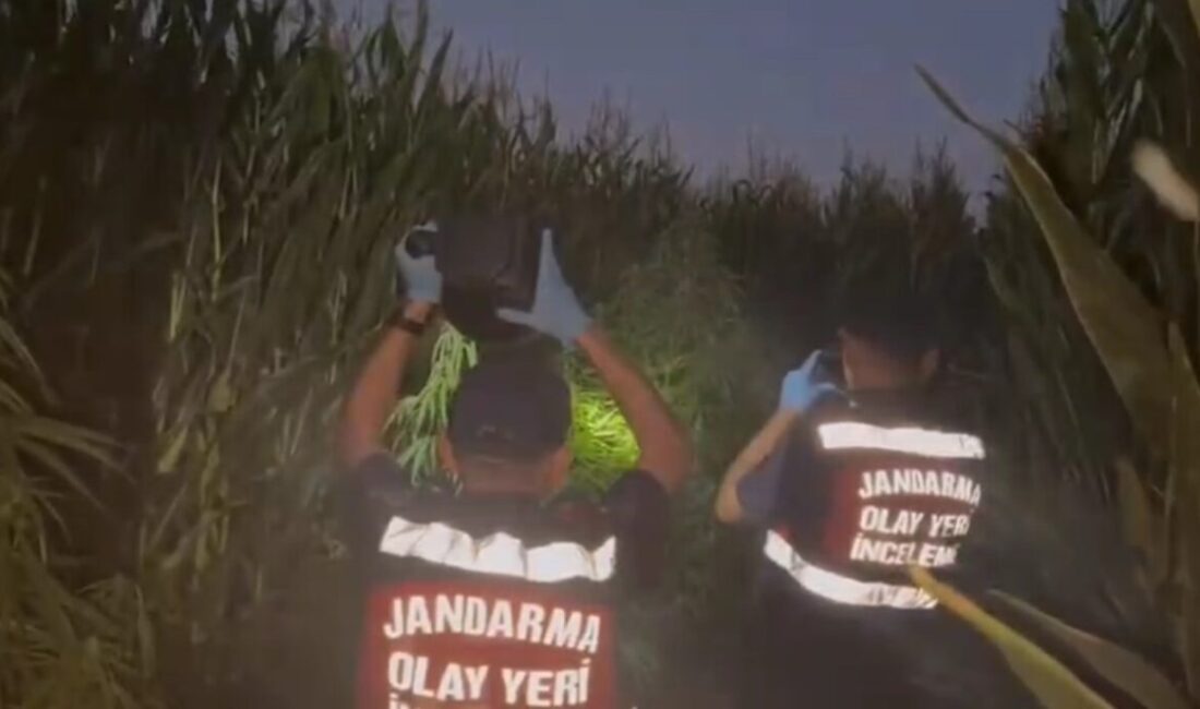 Tokat’ta jandarma ekiplerinin son bir ayda düzenlediği operasyonlarda uyuşturucu maddeler