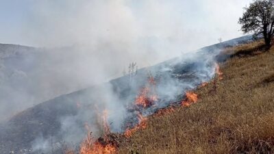 Tokat’ın Artova ilçesinde çıkan arazi yangınına ekipler ve vatandaşlar birlikte