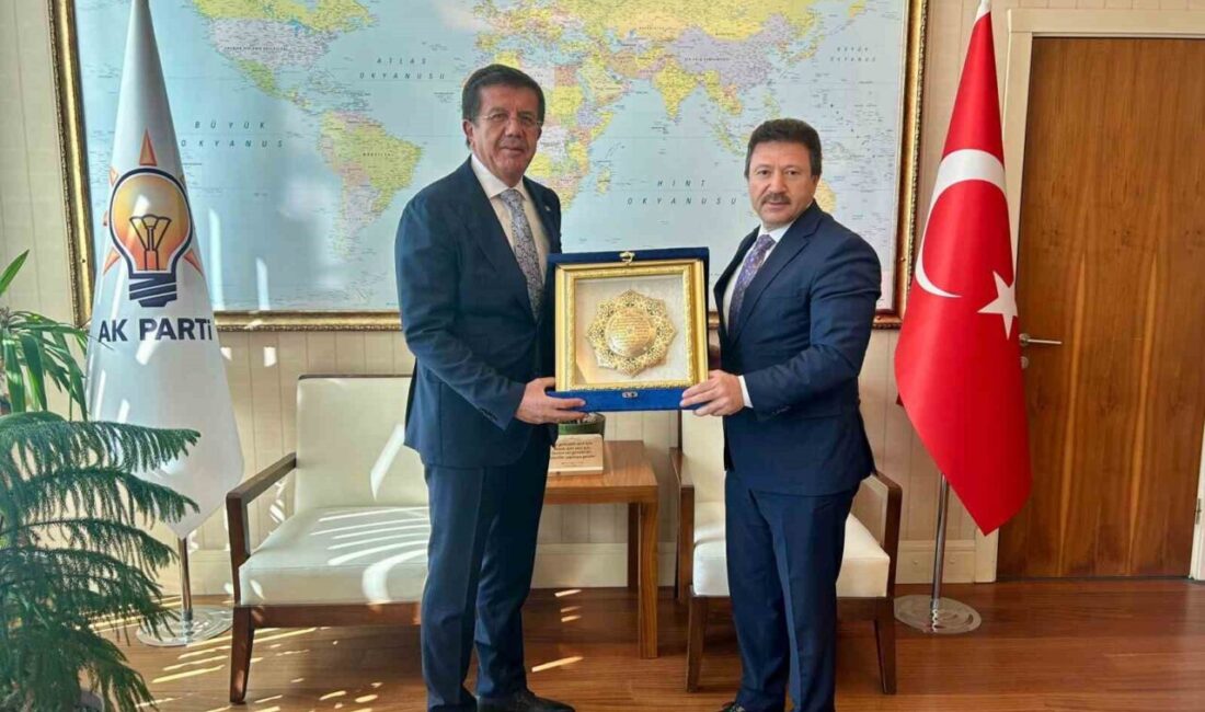 Türkiye Şoförler ve Otomobilciler Federasyonu (TŞOF) Genel Başkanı Mehmet Yiğiner,