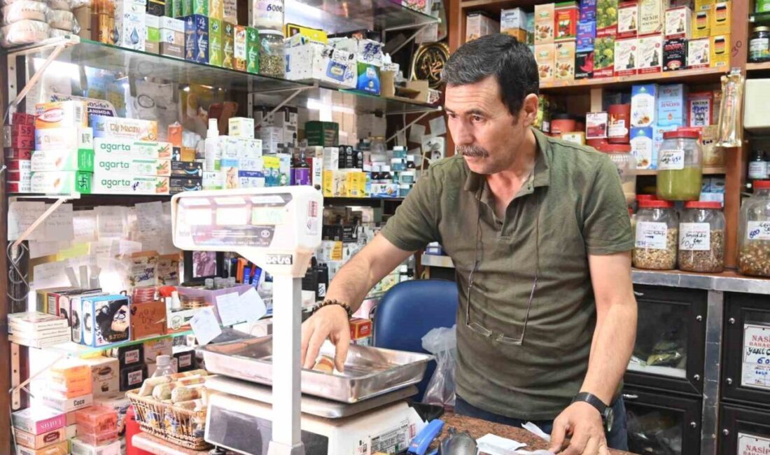 Eskişehir’de aktar Metin Ağılönü, turşu yapımında en önemli malzemenin kaya