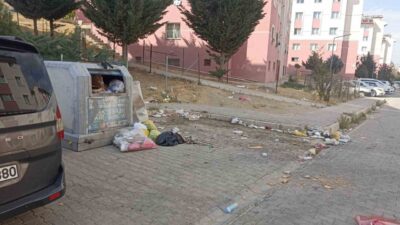 Van’ın Tuşba ilçesinde bulunan Kalecik Mahallesi sakinleri, yolların köstebek yuvasına