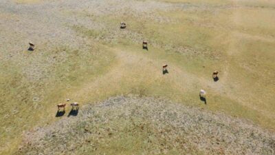 Yozgat’ın Esenli köyünde bulunan ve 20 bin 474 hektarlık bir