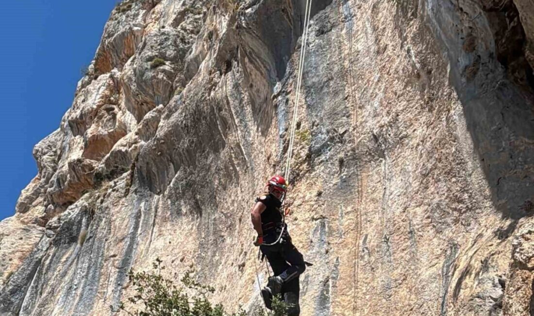 Mersin’in Erdemli ilçesi Karahıdırlı kırsalındaki Hacı Alanı mevkisinde uçurumda mahsur