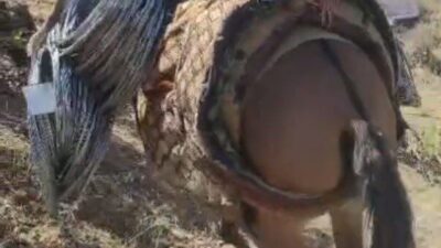 Şırnak’ın Uludere ilçesinde Kaya Islahı Önlem Projesi zorlu şartlara rağmen