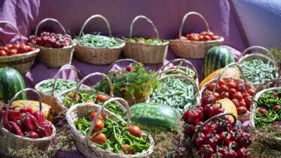 Ankara’nın Çubuk ilçesinde Uluslararası Çubuk Turşu ve Kültür Festivali’nin 17’ncisi